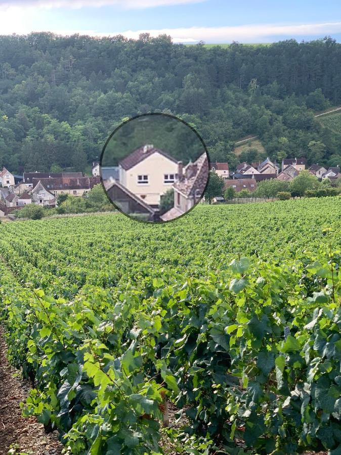 Maison De Campagne Entre Vigne Et Bois 샤블리 외부 사진